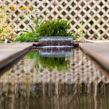 Rill Garden in BEarsden