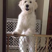 Paula Conwell's photo