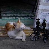 Maria Nefedova's photo