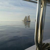 Jim Coster's photo