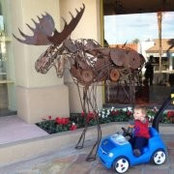 Jen Yockey's photo