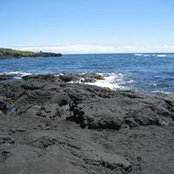 Rachel Garza's photo