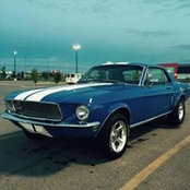 Shane Harney's photo