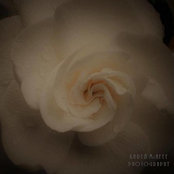 Karen McAfee's photo