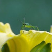 Jorge Ucan's photo