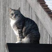 Erin Verwey's photo