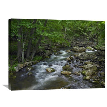 "Little Stony Creek Flowing Through Jefferson National Forest, Virginia" Artwork
