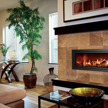 Mendota Fireplaces