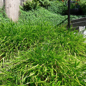 Deep Cove Garden