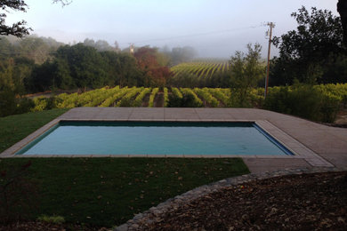 Inspiration for a mid-sized farmhouse backyard concrete and rectangular lap pool remodel in Orange County