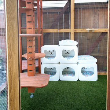 Farris Property - Outdoor Office And Cat-Patio