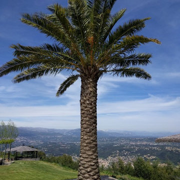 Jardins
