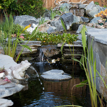 Xeriscape Landscape  - Lush Green with Low-Water Plants