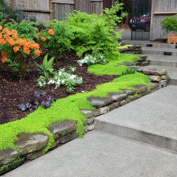 Ferncliff