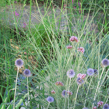 Wildlife Friendly Front Garden