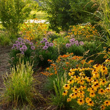 Garden A&M