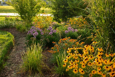 Design ideas for a small contemporary drought-tolerant and full sun front yard landscaping in DC Metro for summer.