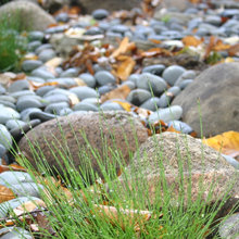 skcrandall dry stream bed
