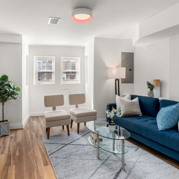 DC Row House Whole House Renovation