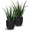 Faux Botanical Aloe with Pot in Green 30"H