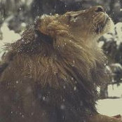 Muhamad Khalil's photo
