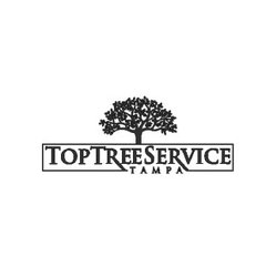Top Tree Service Tampa