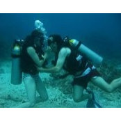 Jason Mehta's photo
