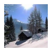 Astrid Weis's photo