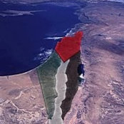 Foto von Bassel Joudeh