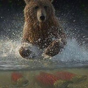 Denis Ostapenko's photo