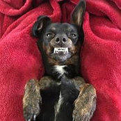 Susie Busch's photo