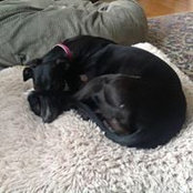 Mary M Buckey's photo