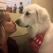 Jami Marshall-Toombs's photo