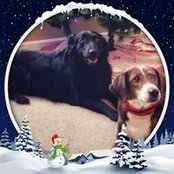 Melissa Kleschinsky's photo