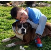 עידו שפירא's photo