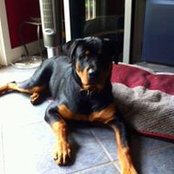Sue Frimenko's photo