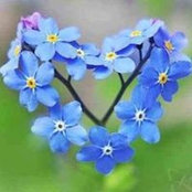 Colleen Schiedel's photo