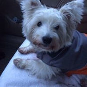 Heather Austin's photo