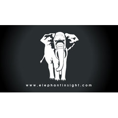 Elephant Insight Project Specialists