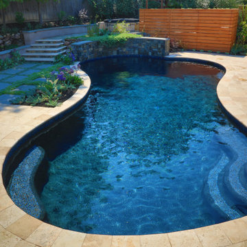 Residential Pool - SF Bay Area, CA
