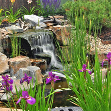 pond