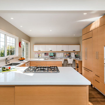 Greenbrae remodel