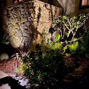 Berkley Hills lighting project