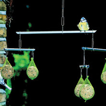 Bird Feeders