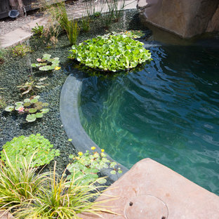 Großer Tropischer Schwimmteich hinter dem Haus in individueller Form mit Wasserspiel und Betonplatten in San Francisco