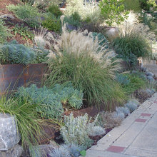 yard ideas