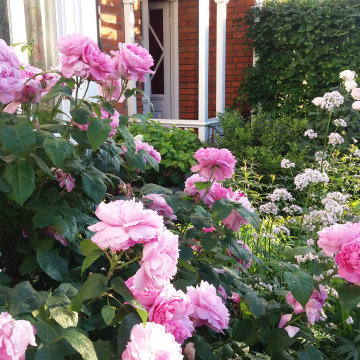Front Garden Ealing