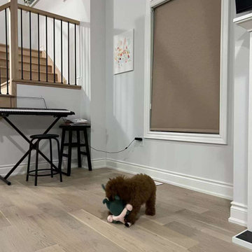 Oakville Roller Blinds