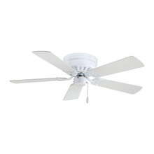 Ceiling Fans