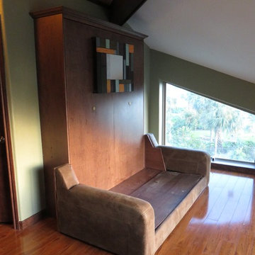 Inline sofa/Murphy bed on Clear Lake, TX